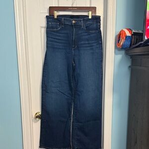 Joe's Jeans Deep Indigo Flare Denim
